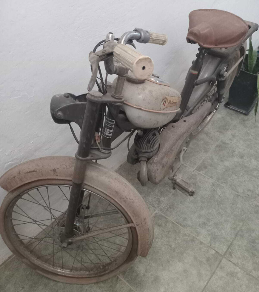 Lavallet Paloma