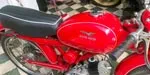 Guzzi Cardellino