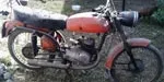 Zanella Ceccato
