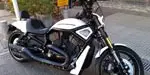 Harley Davidson Night Rod Special