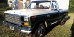 Ford  F 100 1982