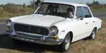IKA Torino 300