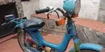 Suzuki 50