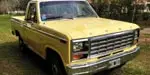 Ford F100 1981 Deluxe Original 221