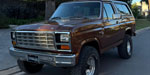 Ford  Bronco V8