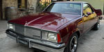 Chevrolet  El Camino SS 1981