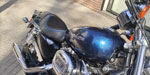 Harley Davidson  2005 Sporter 1200 XL