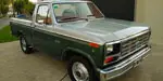 FORD F100 V8 Deluxe