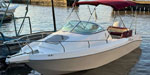 Americana  Sea Rayder Cabinada Jhonsos 115 Hp 4 T