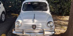 Fiat  D 1964