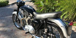 Triumph  T100