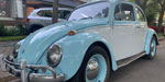 Volkswagen  Escarabajo