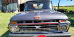 Ford  F100
