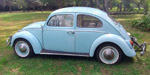 Volkswagen Escarabajo
